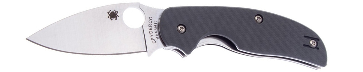 Spyderco Sage 1 C123GPGY