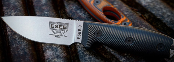 ESEE-3 2020