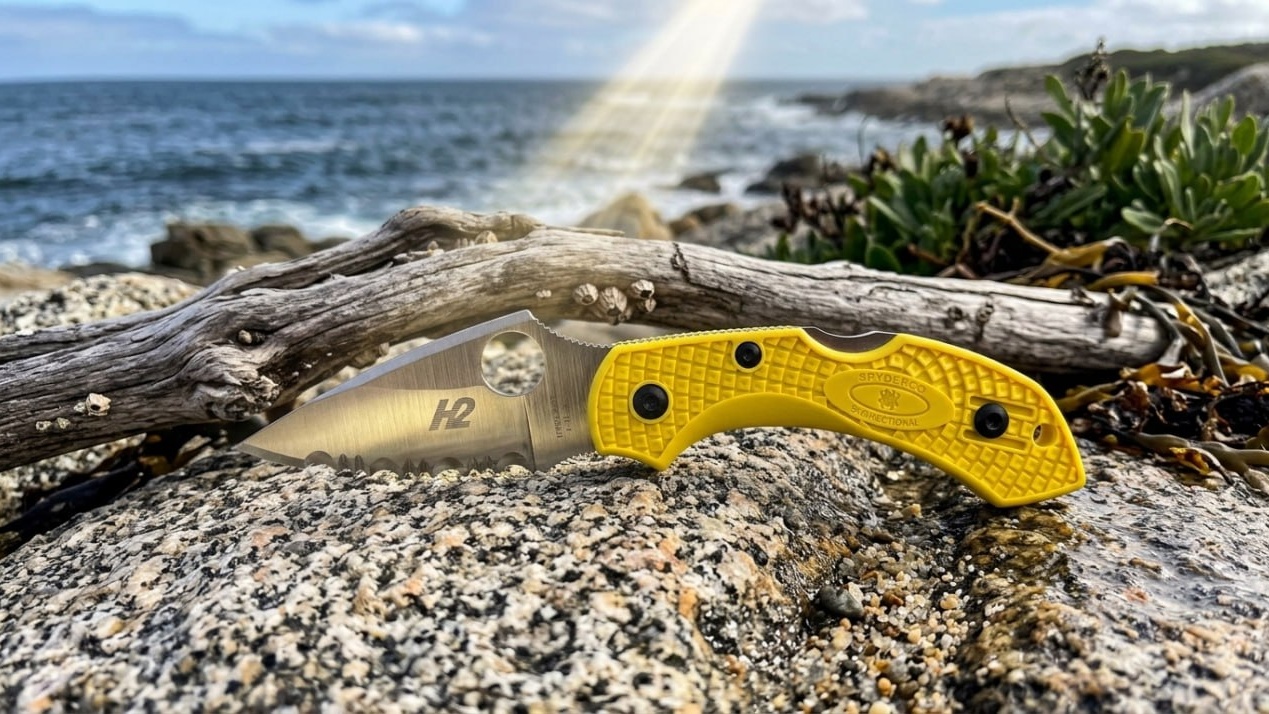 Spyderco Dragonfly 2