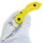 Нож Spyderco Dragonfly 2 Salt serrated сталь H2 рукоять Yellow FRN (C28SYL2)