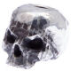 Бусина темлячная Kristal Skull 