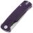 Нож Ganzo G769-PL cталь D2 рукоять Purple G10