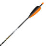 Стрела для лука карбон Easton Aftermath 400 Vanes 4" (H) с натур. оперением