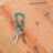 Карабин Nite Ize SlideLock Carabiner #3 Blue Aluminium (CSLA3-03-R6)