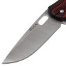 Нож BUCK Vantage Avid сталь 420HC рукоять DymaLux Red Wood/Nylon (0346RWS)