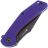 Нож Sencut Actium Blackwash сталь D2 рукоять Purple G10 (SA02D)
