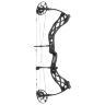 Лук BowTech Carbon Zion блочный 102м/с