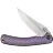Нож WE Knife Dracarys satin сталь M390 рукоять Purple/Golden Titanium (WE25061B-2)