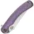 Нож WE Knife Dracarys satin сталь M390 рукоять Purple/Golden Titanium (WE25061B-2)