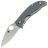 Нож Spyderco Alcyone сталь CTS-BD1 рукоять Gray G10 (C222GPGY)