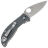 Нож Spyderco Alcyone сталь CTS-BD1 рукоять Gray G10 (C222GPGY)