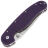 Нож Steelclaw Крыса сталь AUS-8 рукоять Purple G10