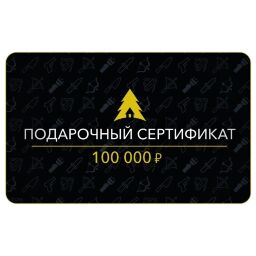 Сертификат на 100 000 руб.