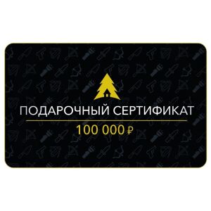 Сертификат на 100 000 руб. 