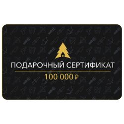 Сертификат на 100 000 руб.