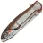 Нож Kershaw Leek Trout сталь 14C28N рукоять Aluminium (1660TROUT)