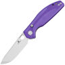 Нож Bestechman Angry Owl satin сталь D2 рукоять Purple G10 (BMK12E-1)