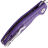 Нож Bestechman Angry Owl satin сталь D2 рукоять Purple G10 (BMK12E-1)