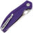 Нож Bestechman Angry Owl satin сталь D2 рукоять Purple G10 (BMK12E-1)