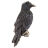 Бусина темлячная Black Raven Ворон 2