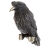 Бусина темлячная Black Raven Ворон 2