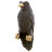 Бусина темлячная Black Raven Ворон