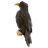 Бусина темлячная Black Raven Ворон