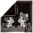 Хэнк (платок) Forest-Home FHH19-10 19*19см