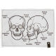 Хэнк (платок) Nomad Cat Skull Bones 20*29см 