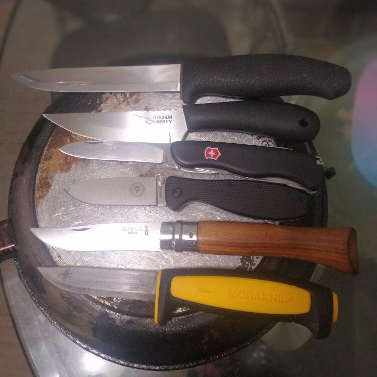 В сравнении на фото: Mora 748, Roach Belly, Forester, Опинель 10, Mora 511